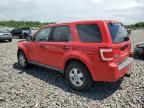 2009 Ford Escape XLS