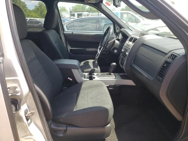 2009 Ford Escape XLT