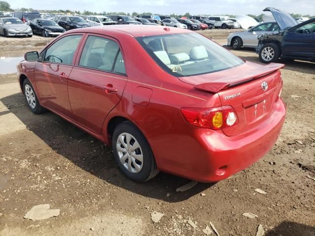 2010 Toyota Corolla Base