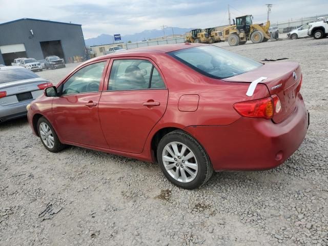 2010 Toyota Corolla Base