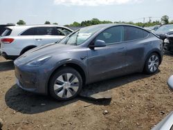 Tesla salvage cars for sale: 2023 Tesla Model Y