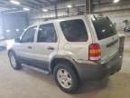 2006 Ford Escape XLT