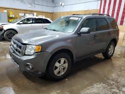 Salvage cars for sale at Kincheloe, MI auction: 2011 Ford Escape XLT