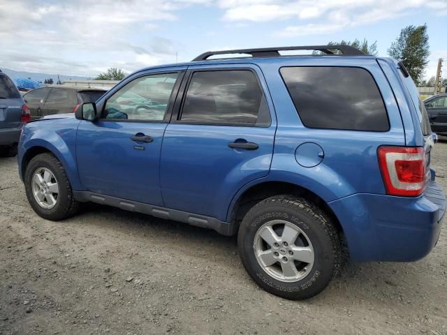 2009 Ford Escape XLT