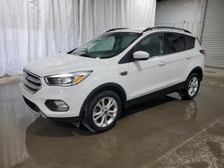 Ford Escape se salvage cars for sale: 2018 Ford Escape SE