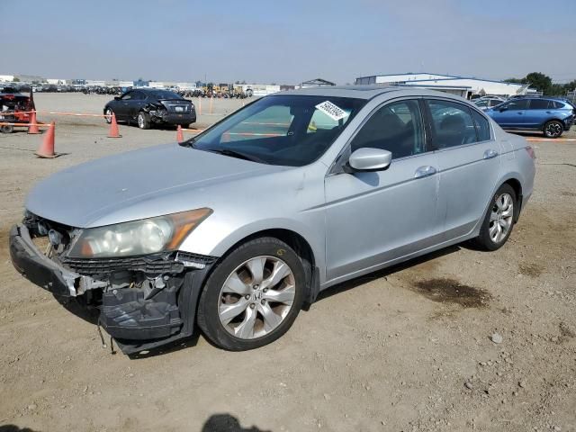 2010 Honda Accord EXL