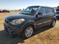 Salvage cars for sale at Brighton, CO auction: 2013 KIA Soul +