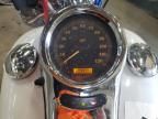 2004 Harley-Davidson Fxstd