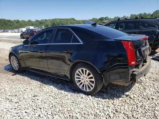 2010 Cadillac CTS Performance Collection