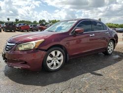 Salvage cars for sale from Copart Mercedes, TX: 2009 Honda Accord EXL