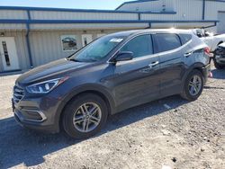 Salvage cars for sale at Earlington, KY auction: 2018 Hyundai Santa FE Sport