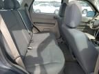 2009 Ford Escape XLS