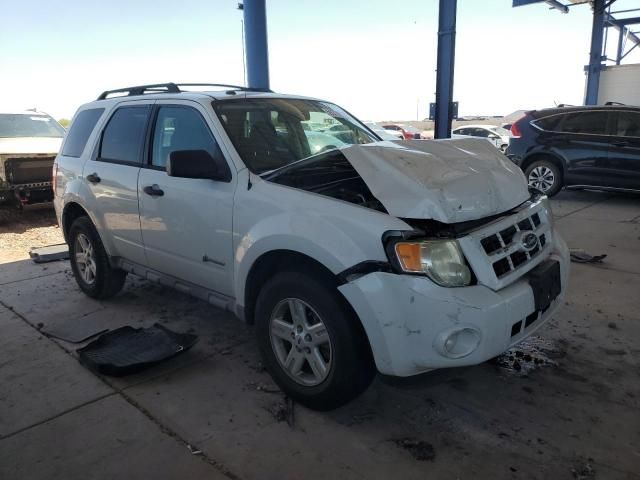 2009 Ford Escape Hybrid