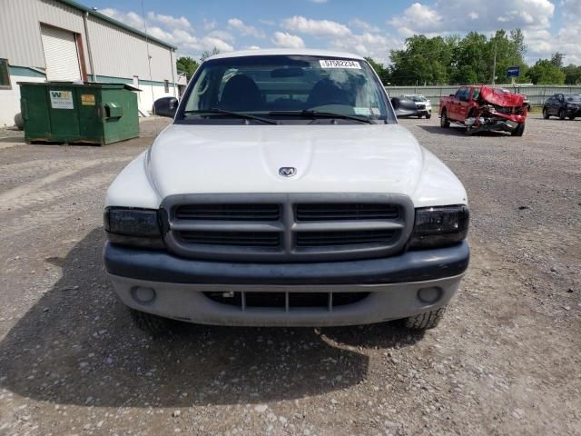 2001 Dodge Dakota