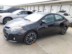 Salvage cars for sale at Louisville, KY auction: 2014 Toyota Corolla L