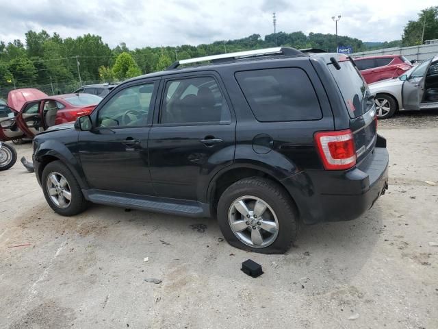 2012 Ford Escape Limited