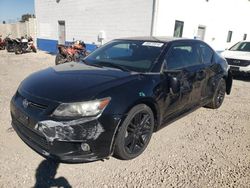 Salvage cars for sale from Copart Farr West, UT: 2013 Scion TC