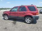 2005 Ford Escape XLT