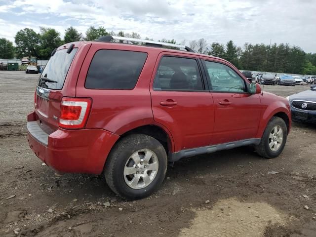 2011 Ford Escape Limited