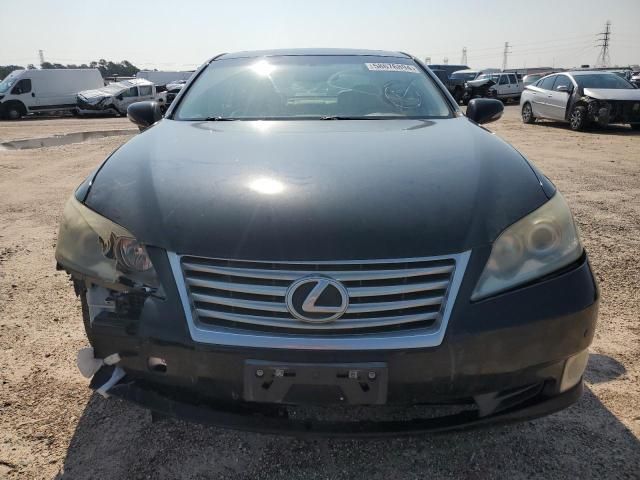 2010 Lexus ES 350