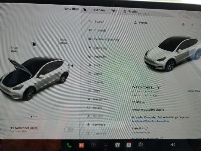 2021 Tesla Model Y