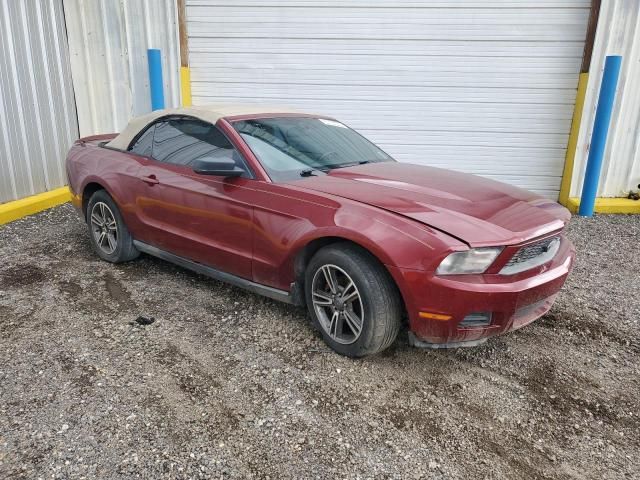 2010 Ford Mustang