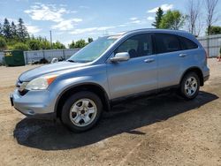 Honda cr-v ex salvage cars for sale: 2010 Honda CR-V EX