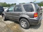 2005 Ford Escape Limited