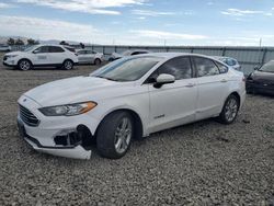 Ford salvage cars for sale: 2019 Ford Fusion SE