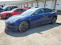 Tesla Model 3 salvage cars for sale: 2019 Tesla Model 3