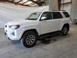 Rental Vehicles for sale at auction: 2023 Toyota 4runner SE