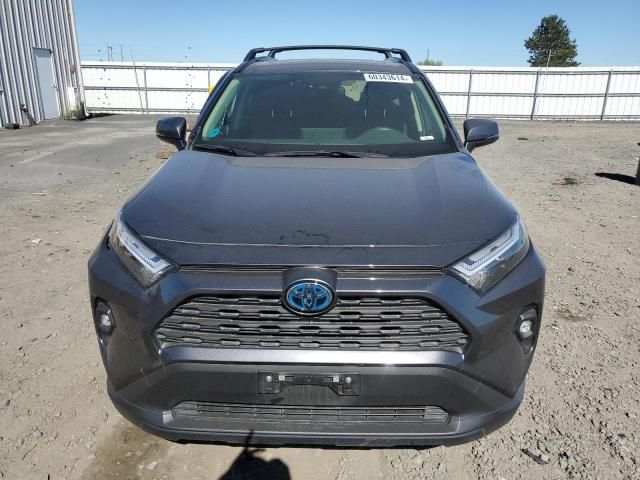 2022 Toyota Rav4 XLE Premium