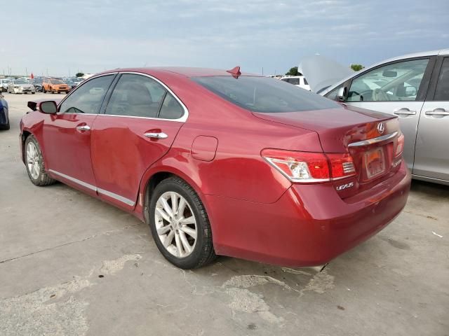 2010 Lexus ES 350