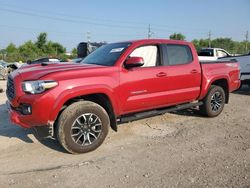 Salvage cars for sale at Indianapolis, IN auction: 2023 Toyota Tacoma Double Cab