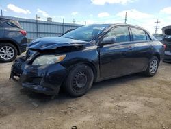 Toyota salvage cars for sale: 2010 Toyota Corolla Base