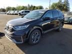 2020 Honda CR-V EXL