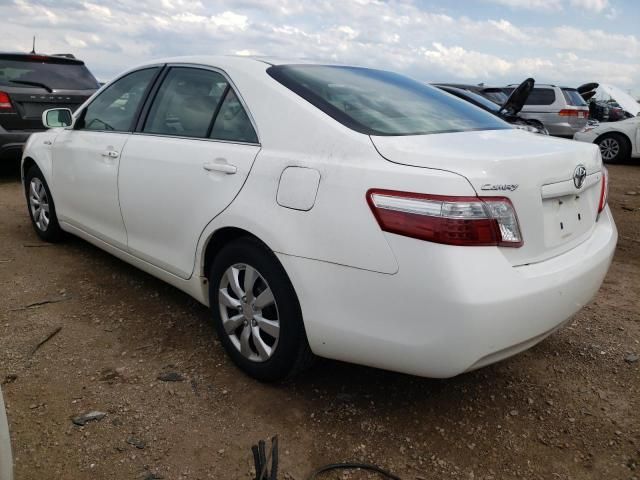 2007 Toyota Camry Hybrid