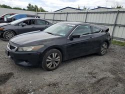 Salvage cars for sale at Albany, NY auction: 2010 Honda Accord EX