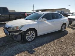 Salvage cars for sale at Temple, TX auction: 2014 Honda Accord EXL