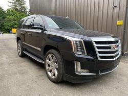 Cadillac Escalade Luxury salvage cars for sale: 2018 Cadillac Escalade Luxury