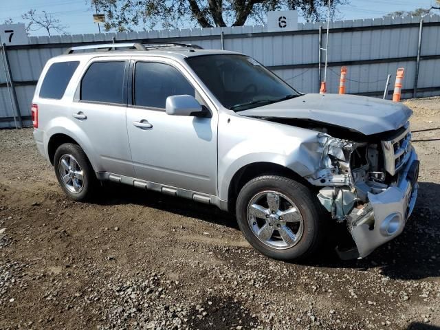 2011 Ford Escape Limited