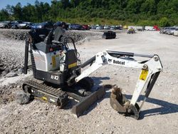 Salvage trucks for sale at Hurricane, WV auction: 2022 Bobcat Mini Buckt