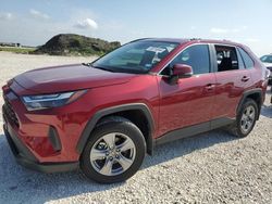 Salvage cars for sale from Copart Temple, TX: 2024 Toyota Rav4 XLE