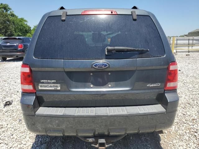 2009 Ford Escape XLT