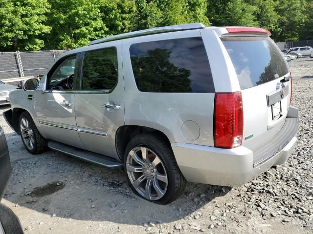 2010 Cadillac Escalade