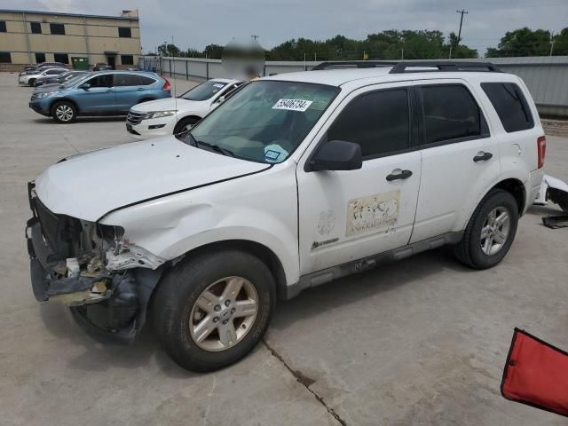 2009 Ford Escape Hybrid