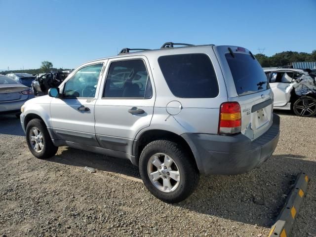 2006 Ford Escape XLT