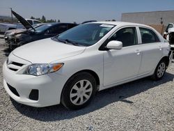 Toyota Corolla Base salvage cars for sale: 2013 Toyota Corolla Base