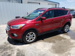 Salvage cars for sale at Riverview, FL auction: 2019 Ford Escape SEL