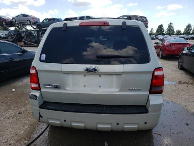 2009 Ford Escape XLT